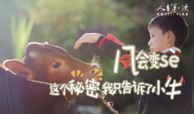 文章附图